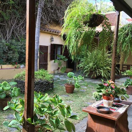 Bellasombra Suites Las Palmas de Gran Canaria Luaran gambar