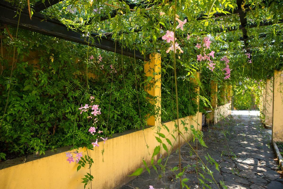 Bellasombra Suites Las Palmas de Gran Canaria Luaran gambar